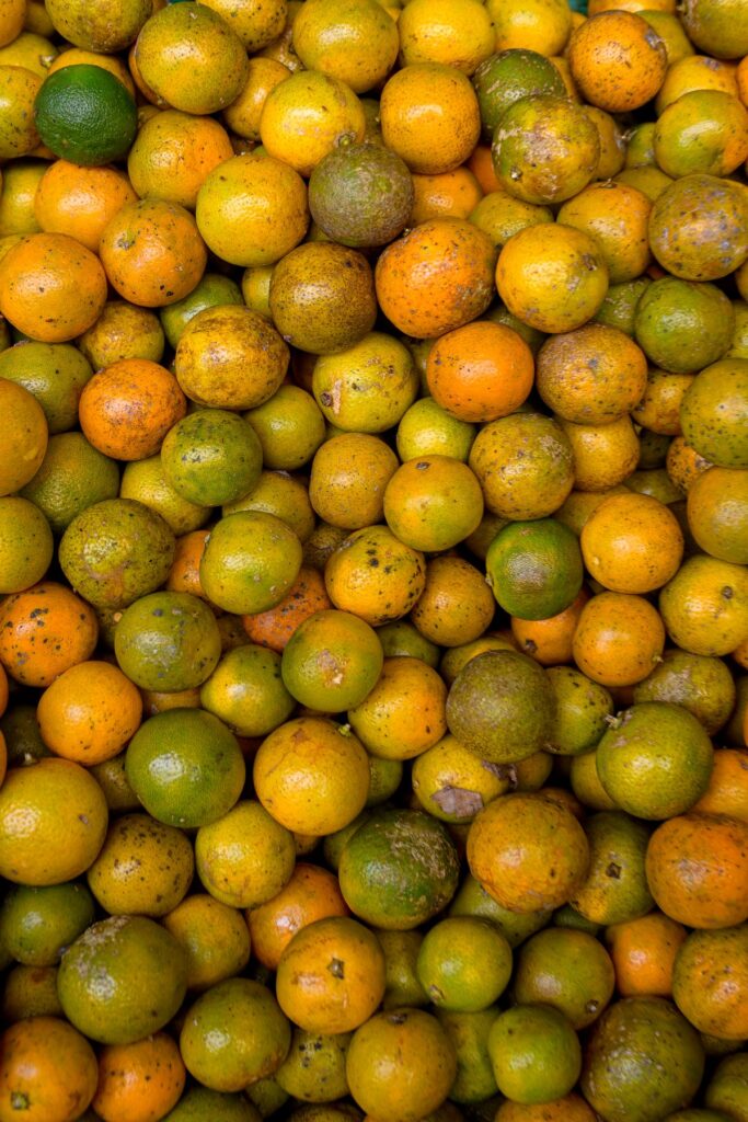 antioxidantes no skincare para pele madura